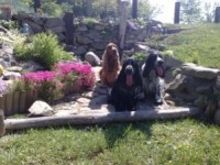 /album/fotogalerie/fota-mobil-7-6-2009-034-jpg/